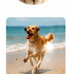 Possible dream of Max running on a beach